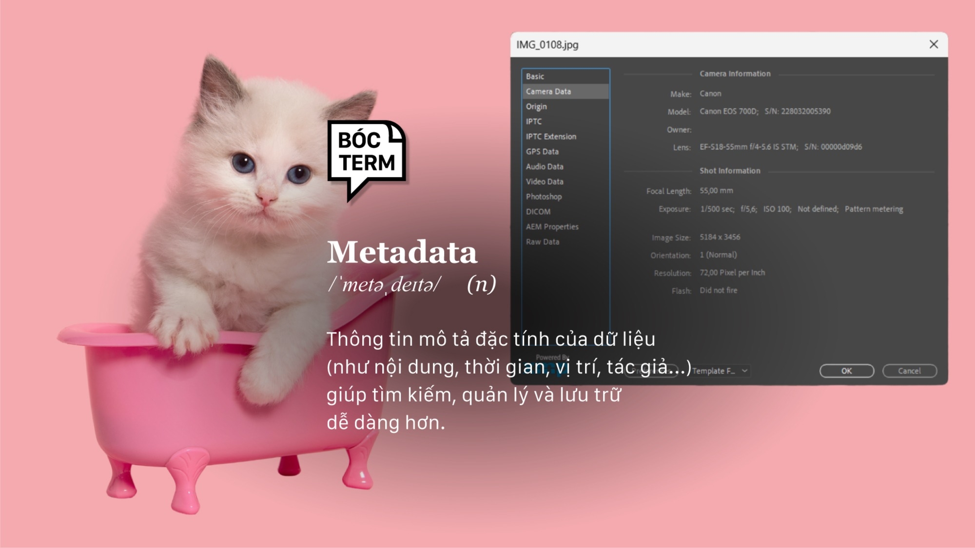 Metadata: Bằng chứng không chỉ cho các ồn ào showbiz