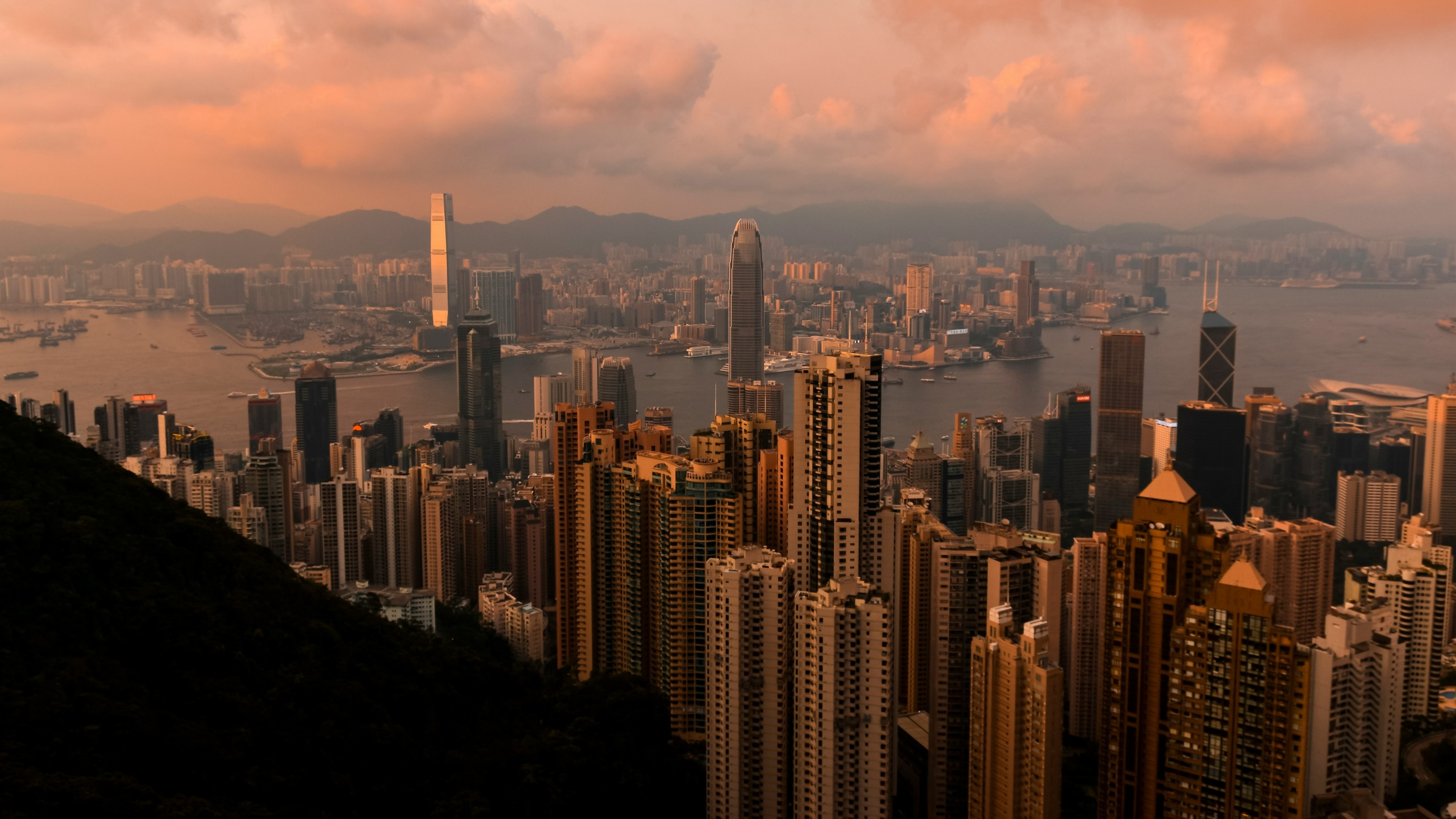 Vietnam To Hong Kong: A Rising Connection
