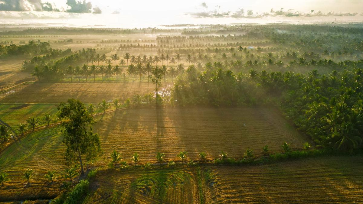 This City In Vietnam Has the Cleanest Air In Southeast Asia
