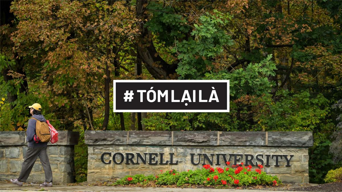 “Cornell 7” - Đơn kiện 101 trang về tội ác diễn ra tại một trong những ngôi trường danh giá nhất thế giới 