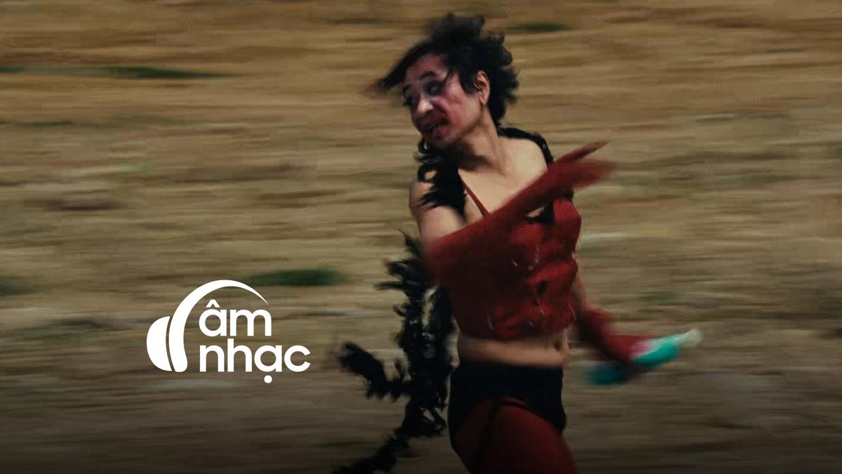 Gội đầu: Một cơn điên tập thể nơi ai cũng đúng và cũng cần giải tỏa