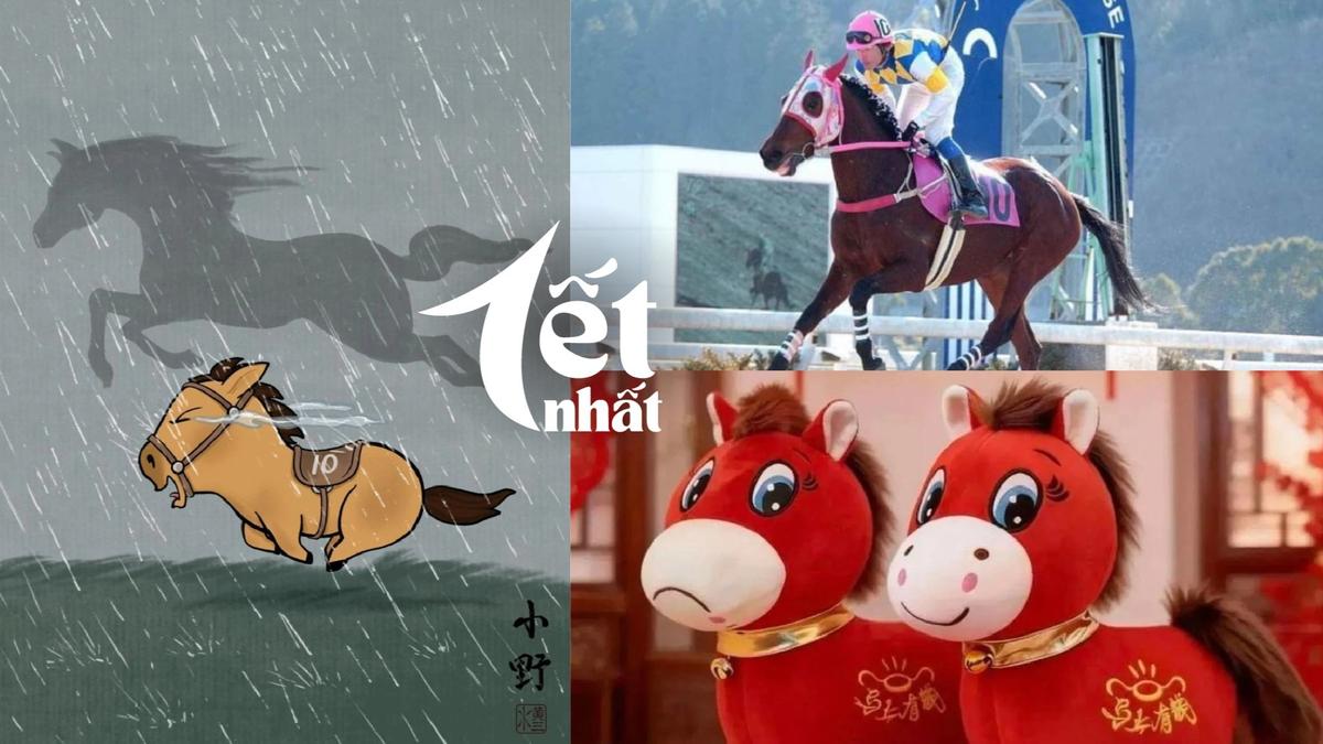 Mã Tiểu Dã, Haru Urara và Chú ngựa khóc nhè: 3 đại diện cho tinh thần năm Bính Ngọ