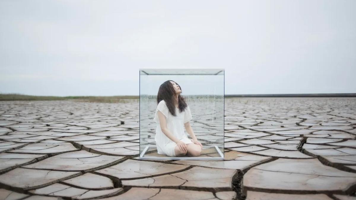 Nỗi sợ thành công có đang âm thầm ngăn bạn tỏa sáng? 