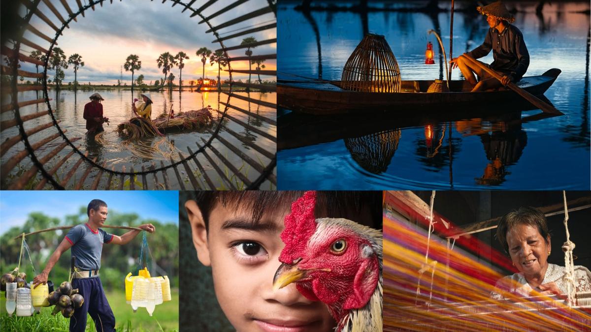 An Giang mùa nắng: Chuyện cây thốt nốt và đôi mắt người Khmer