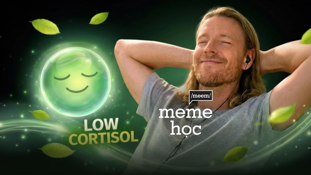 Tại sao cứ Low Cortisol lại phải ghép nhạc “Ai đưa em về”?