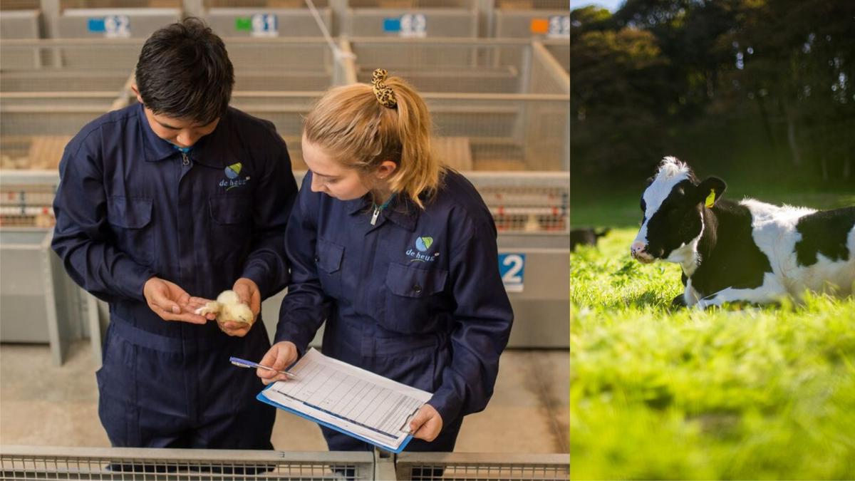 Vùng đất "vàng" trong nông nghiệp: 4 Nghề hấp dẫn cho người trẻ nhưng chưa nhiều người biết tới