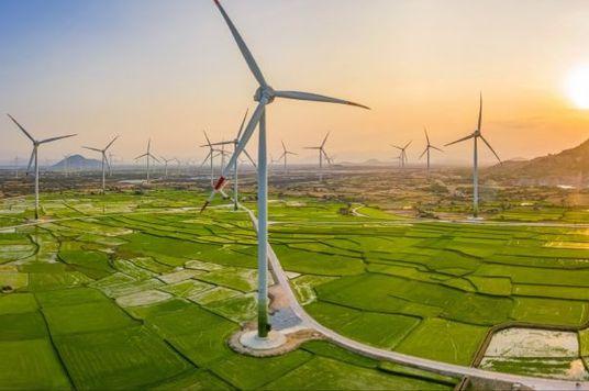 Sustainability