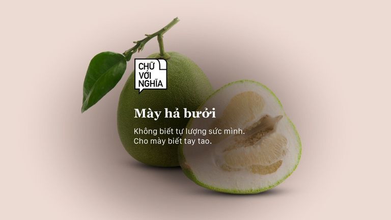 Nguồn: cleanpng/ Hà Trâm cho Vietcetera