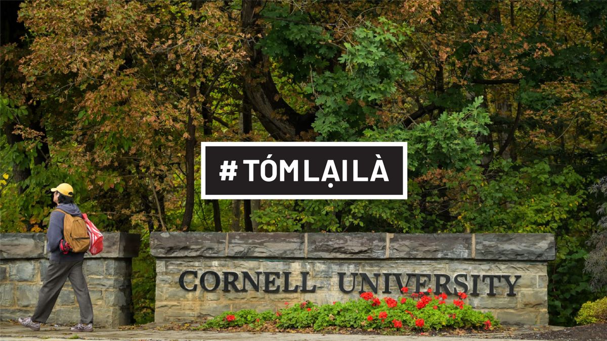 “Cornell 7” - Đơn kiện 101 trang về tội ác diễn ra tại một trong những ngôi trường danh giá nhất thế giới 