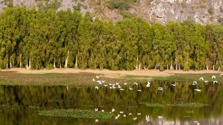 Vân Long Wetland Nature Reserve is the largest inland wetland in the Northern Delta. | Source: Shutterstock