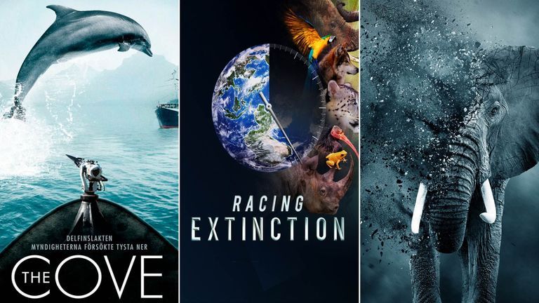 Nguồn: Lionsgate, Discovery Channel, Netflix.