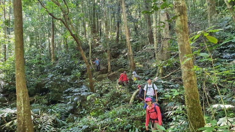 Đi để thật thà. Trekking hay Hiking?