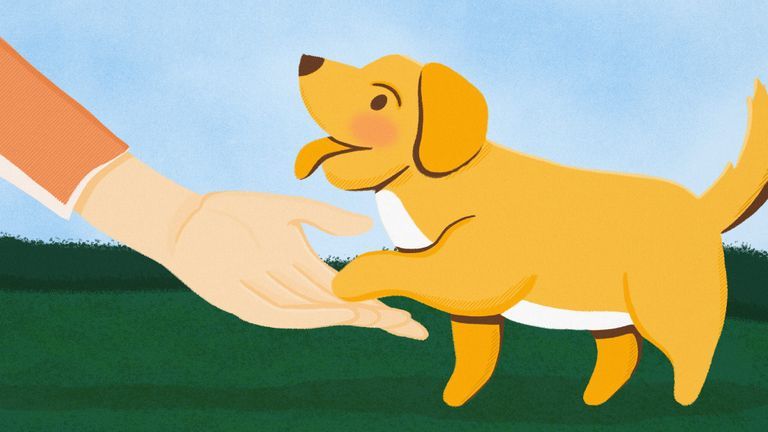 Khi thời khắc chia xa thú cưng đến gần