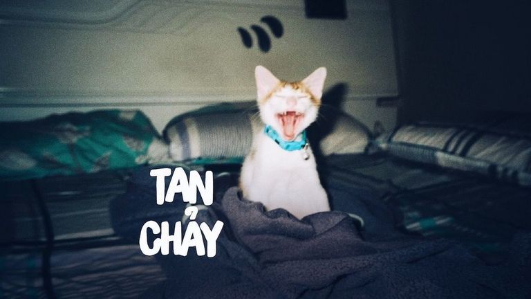 tan Chay