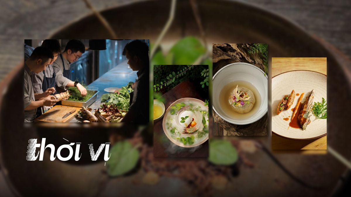 Rau, củ, nấm, đậu dưới ánh đèn Fine Dining: Sự giao thoa giữa di sản ngàn năm và hương vị đương đại