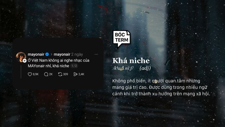 Cả làng đều biết vẫn kêu “khá niche”? Rốt cuộc khá niche là gì? 