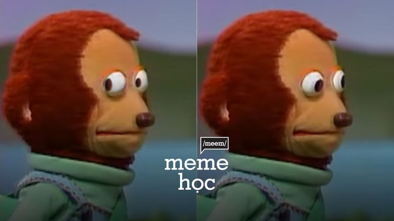 Meme Học: Monkey Puppet - Sao chú khỉ này cứ liếc qua liếc lại?