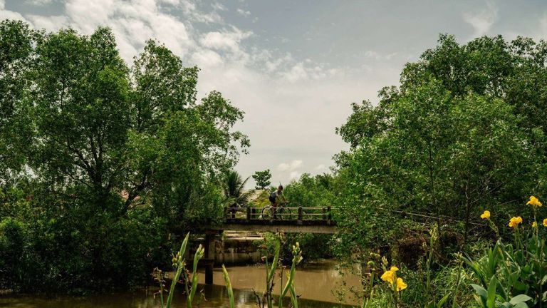 Rides In Nature: Into The Heart Of The Delta