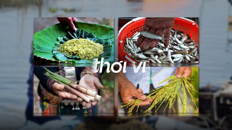 Ở Việt Nam, các mùa có thể được gọi tên theo sản vật sẵn có của từng thời điểm. Nổi tiếng có mùa cốm Hà Nội, mùa măng sặt Cao Bằng, mùa hến Hội An, và mùa cá linh Tây Nam Bộ. | Nguồn: Tổng hợp
