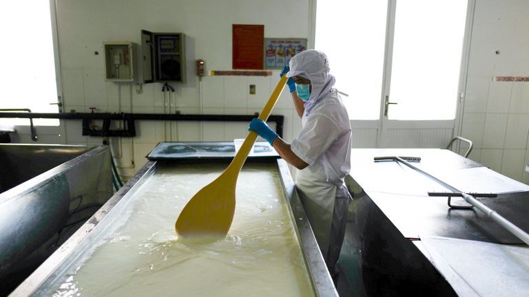 "An Yên cho Trái Đất": Nước whey chảy đi đâu?
