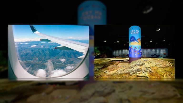 A 24-hour Trip For A Toy: What Makes Us Travel Today? 