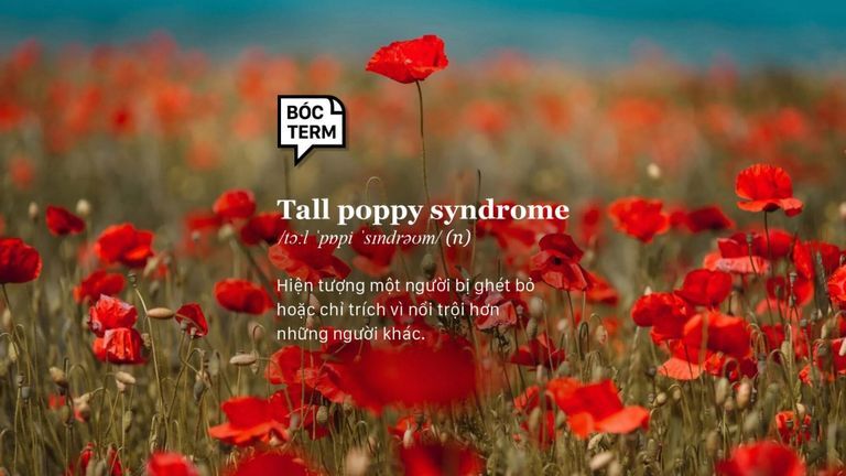 Tall poppy syndrome - Khi thần tượng “nằm không cũng dính đạn”