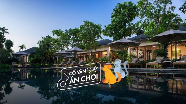 Đi đâu để tận hưởng kỳ nghỉ với thú cưng? 