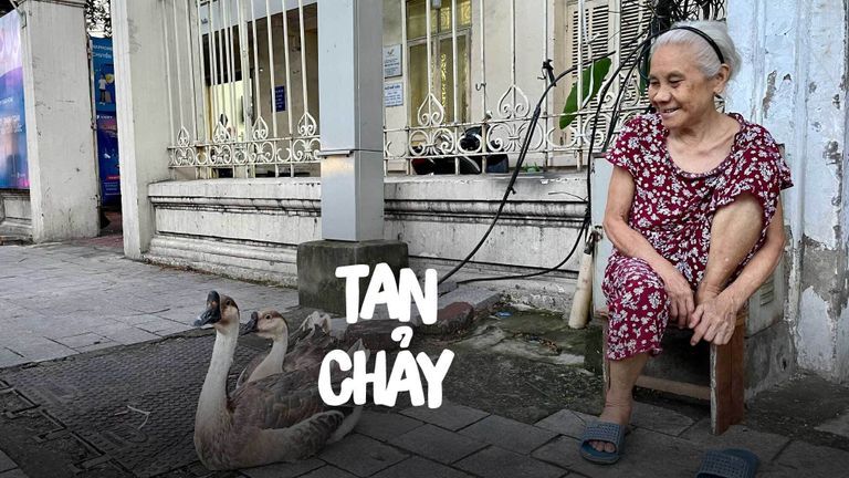 Nguồn: Người Kể Chuyện