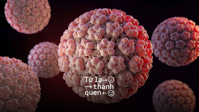 4 Thuật ngữ giúp bạn không lỡ nhịp khi nói về HPV