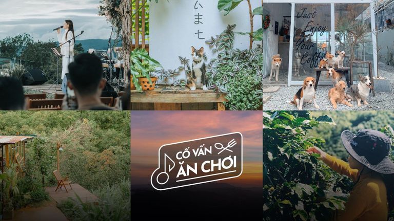 6 Tiệm cà phê để bạn khám phá Đà Lạt