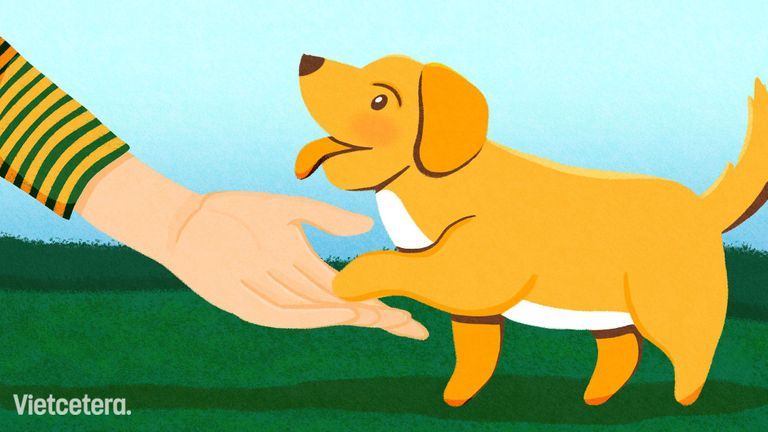 Sau cùng thì quyền sinh sát động vật vẫn nằm trong tay con người