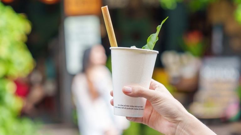 While the initiative to eliminate plastic straws is commendable, it's worth questioning whether it alone can substantially impact the plastic waste crisis in Vietnam. | Source: Shutterstock