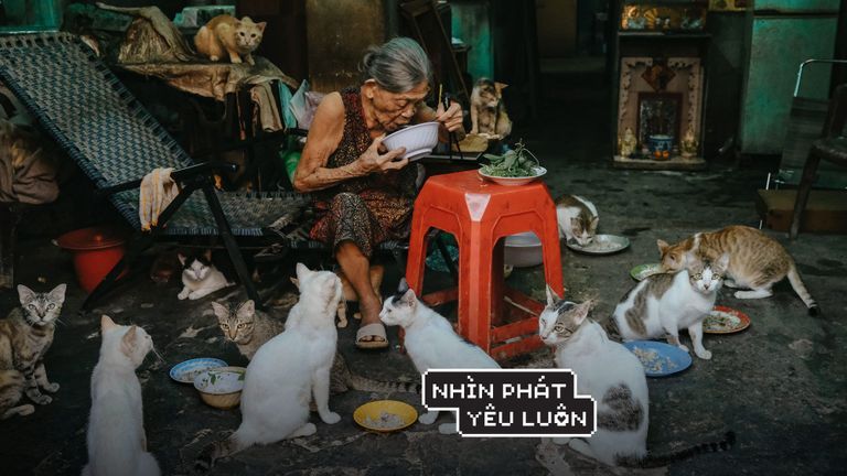 Nhiếp ảnh gia Tín Phùng và tính sinh động của khoảnh khắc