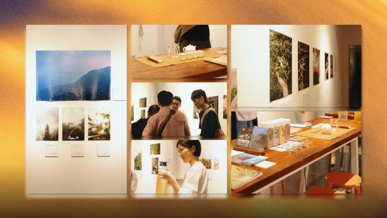 Một cây trà, năm-sáu đời người, và chiều mưa ở Sài Gòn tôi đi uống trà Hà Giang
