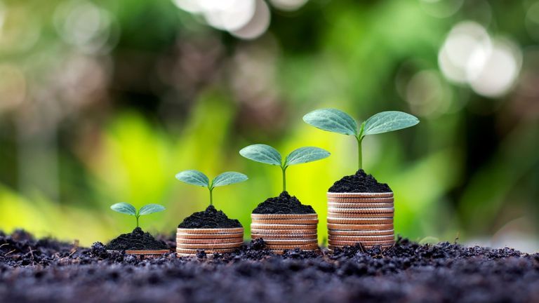 VCA, FPT Capital Partner To Promote Sustainable Investing