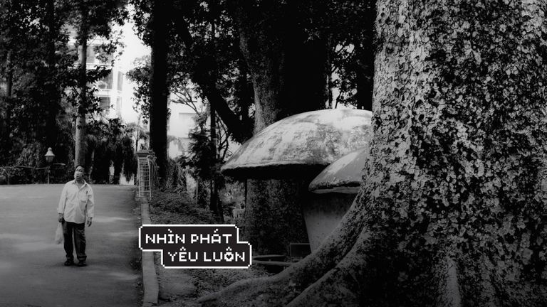NPYL Diệp Kim Ngân Featured Image