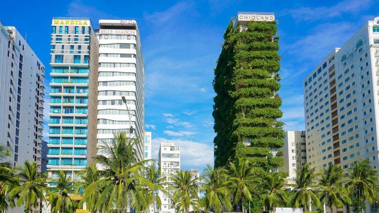 Phong trào bền vững tại Việt Nam yêu cầu sự hợp tác giữa chính phủ, doanh nghiệp tư nhân, nhà đầu tư và người dân | Nguồn: Shutterstock
