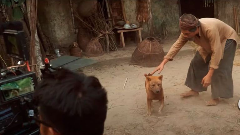 “Cậu Vàng” chết không phải vì dở, mà do chính cái giả ngập tràn làng Vũ Đại