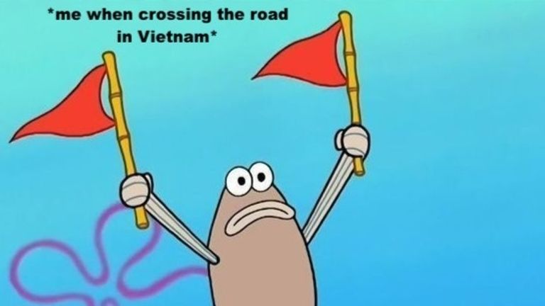 Vietnam Survival Guide: Road Crossing 101