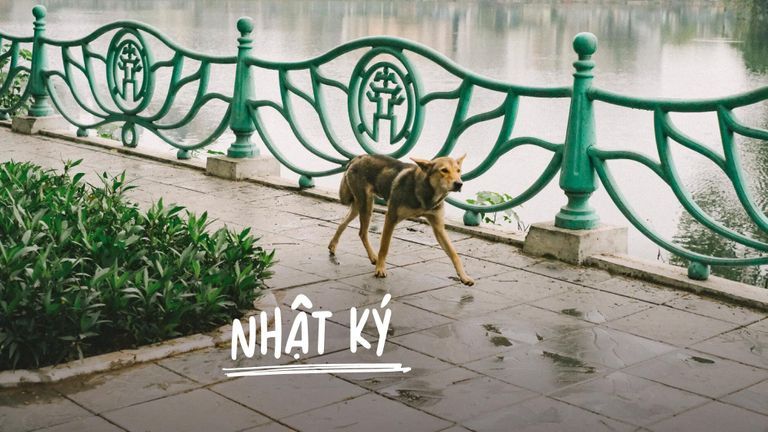 Nguồn: Việt đi linh tinh