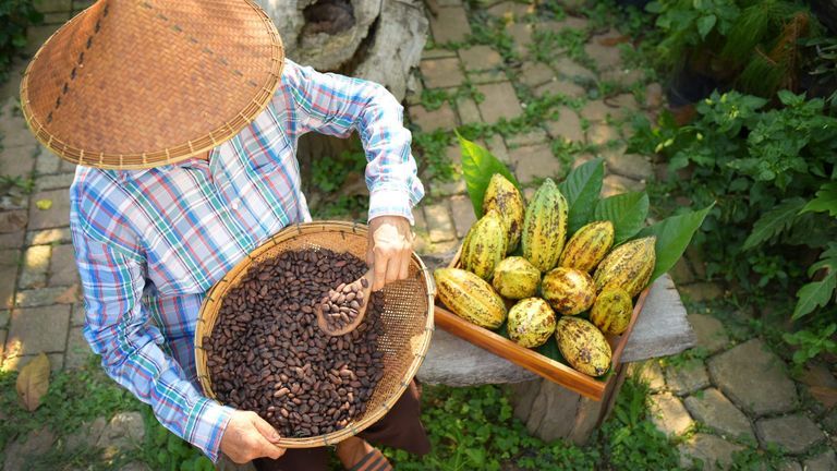 F&B Manufacturing In Southeast Asia Remains Resilient, Led By Vietnam’s Growth