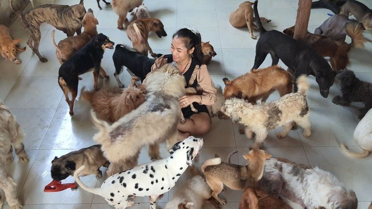 Tran Uyen Nhu and her team have saved thousands of Vietnam’s dogs, cats and other animals being abandoned on the streets. | Source: Cứu Hộ Chó Mèo Saigon Time - SGT