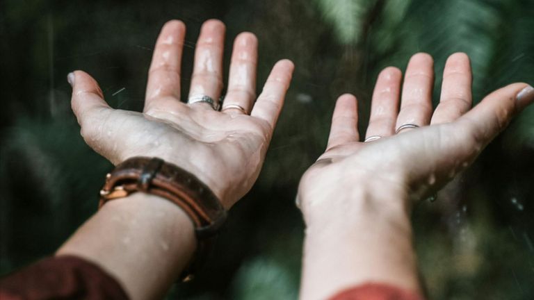 Nguồn: Pexels