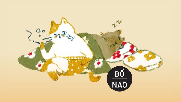 Lâu không “xếp hình” có ảnh hưởng đến não không?