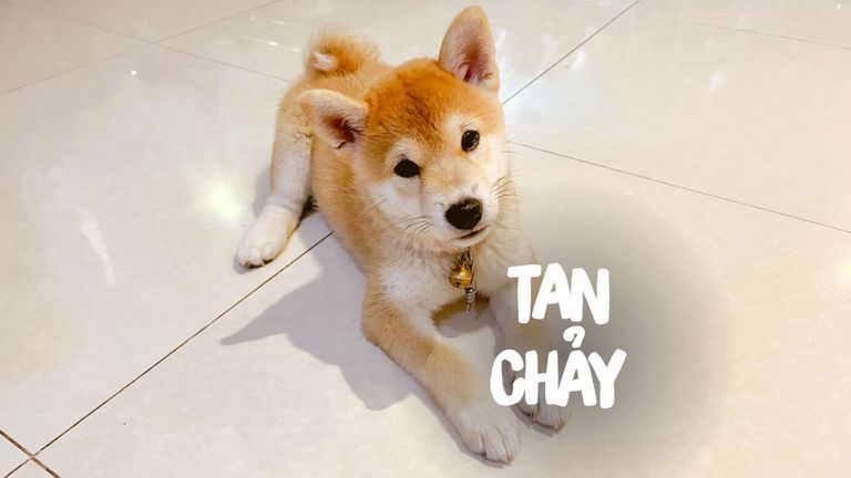 "Ba bị... thao túng tâm lý"