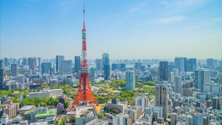 Why Is Japan A "Promising Land" For The IT Sector? 