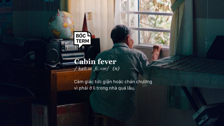 Nguồn: Unsplash | Thiết kế bởi Hân Nguyễn cho Vietcetera.