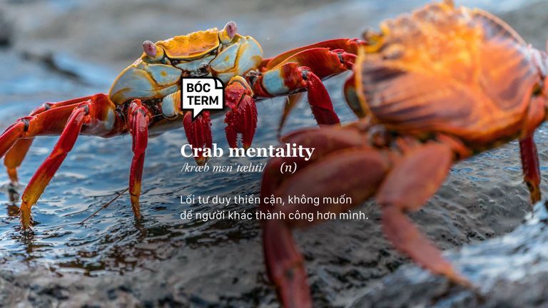 Nguồn: Rod Long @ Unsplash
