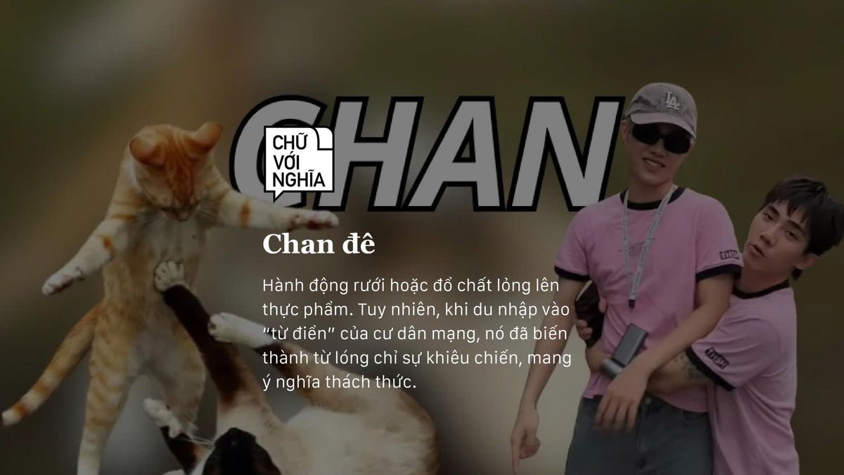 Đi đâu cũng thấy người khác đòi “chan đê”, rốt cuộc họ muốn làm gì? 