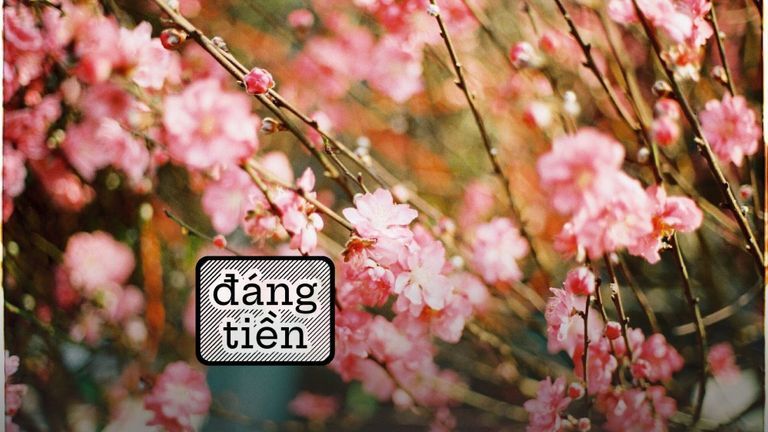 Nguồn: Thư Vũ